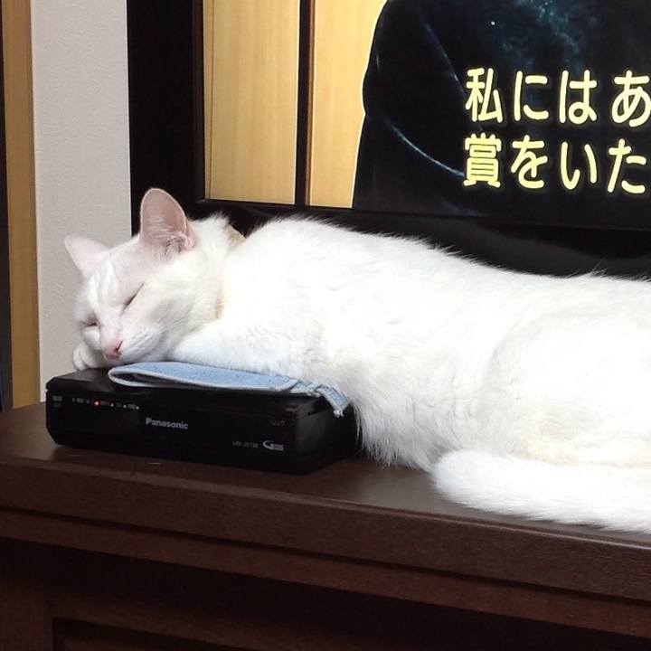 Bbc72942 aee6 42d6 aa49 6b324df81290 1629445859991