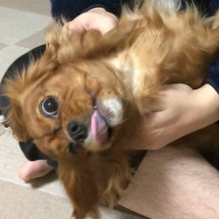 Bbc72cbe 2b38 47b3 b07a 3029f2760b2b 1518646151114