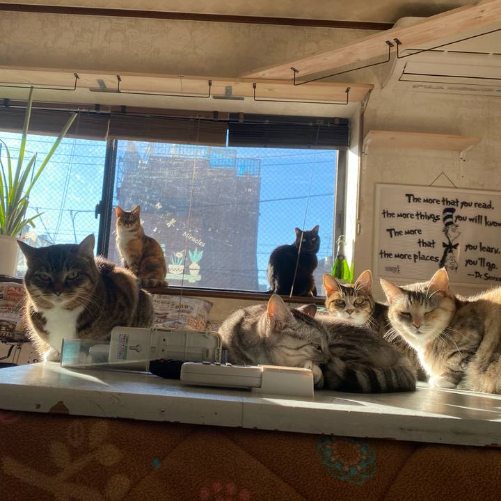 Bbc73dca e2a4 49ce 899d 6597d9623294 1672531719612