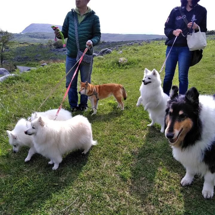 Bbc775e7 f837 420f 817e 8d76456ac54c 1556455546453