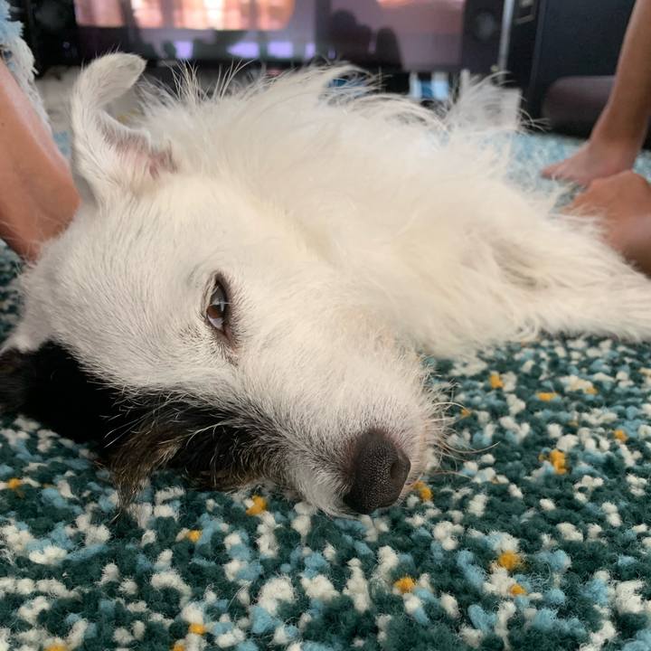 Bbc78f97 0ba5 4203 8122 958b8494ddb0 1663474624224