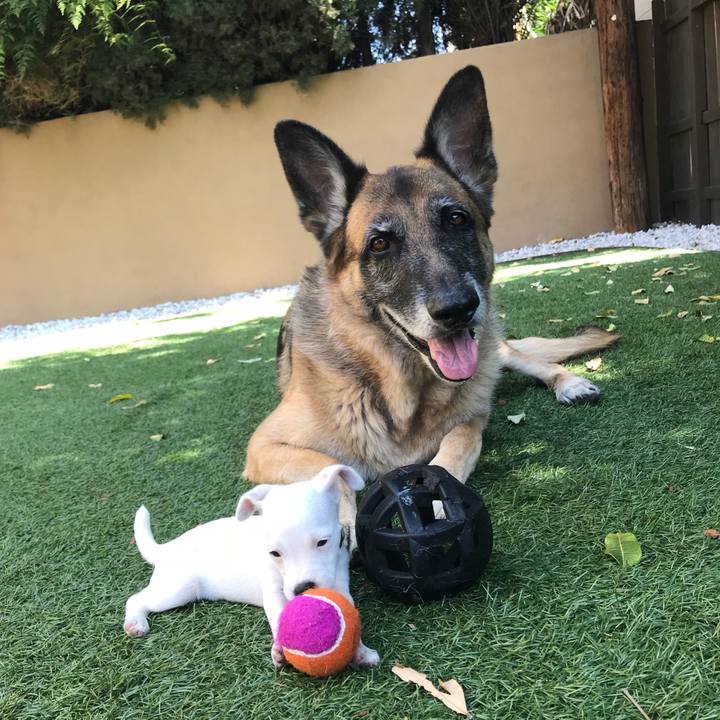 Bbc7bac4 ff01 4e01 bd6a 03e8433eff23 1530650776286