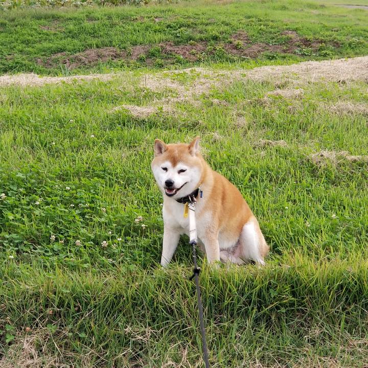 Bbc7e104 6be4 41f8 9505 a1a5fea9adf4 1631603714164