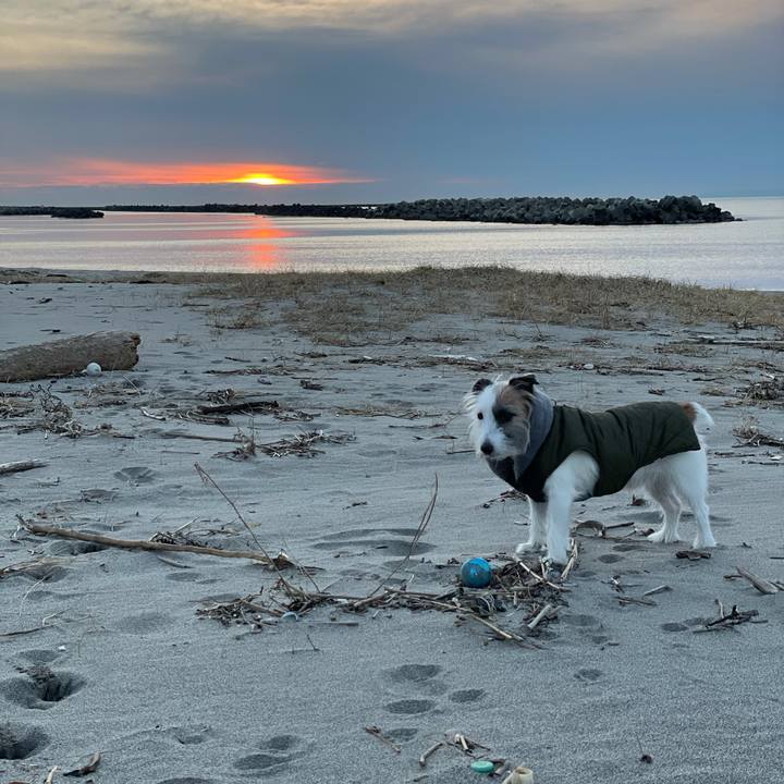 Bbc81b14 d4d2 4486 bbf3 46fc5a513705 1611650150341