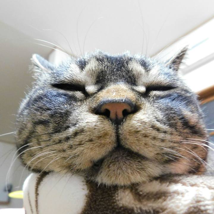 Bbc88e65 ee54 4493 b4f6 3d3b61abaab2 1535456956654