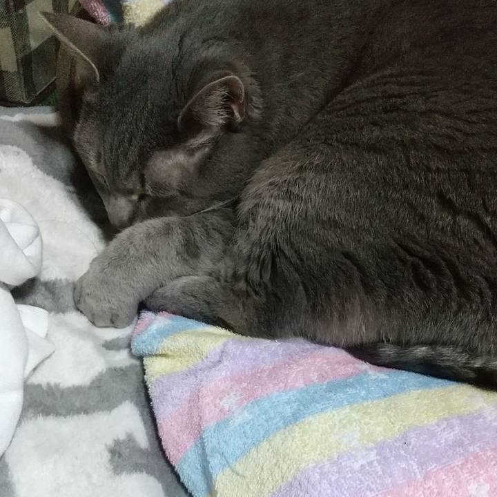 Bbc88ff3 f8e1 46ef 87ff 8cffdaaf5056 1616705345288