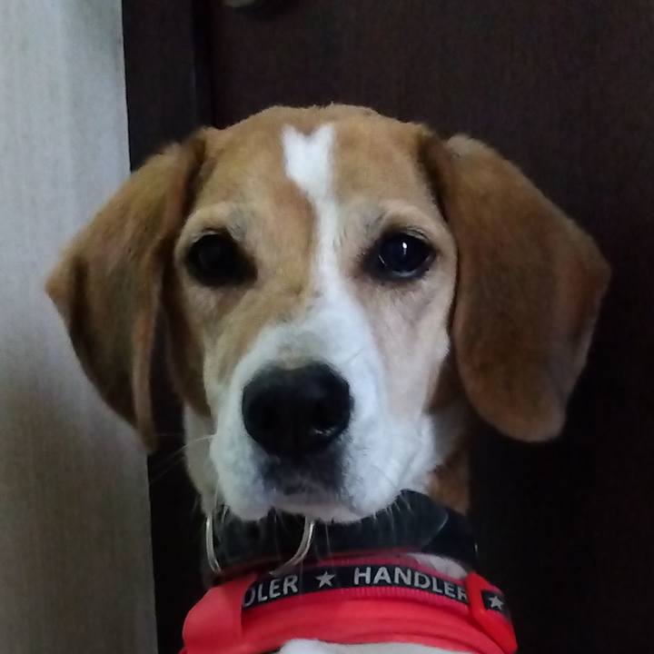 Bbc89983 4b6d 4386 bf7b fd3b3c2eb8b1 1700571168207