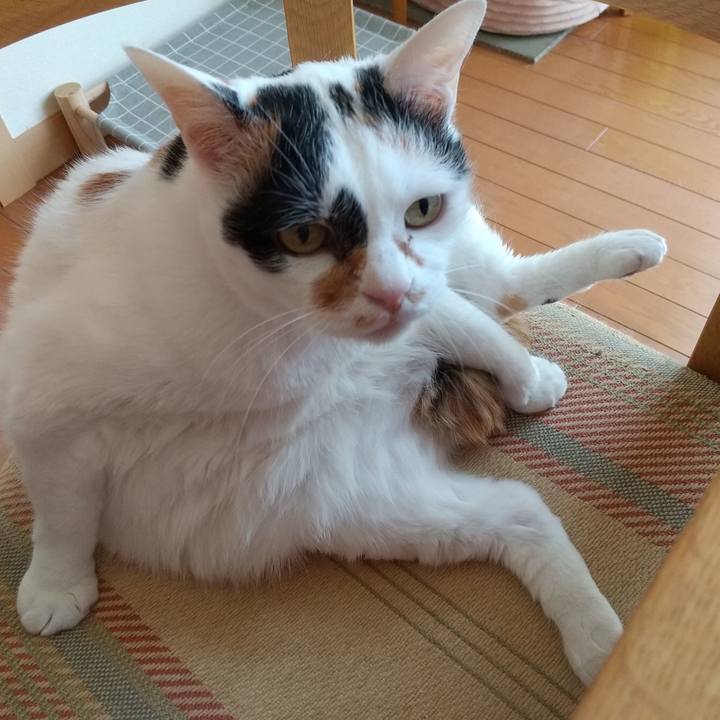 Bbc8d14e 03c3 4ba2 b9ce a30041540745 1682206263935