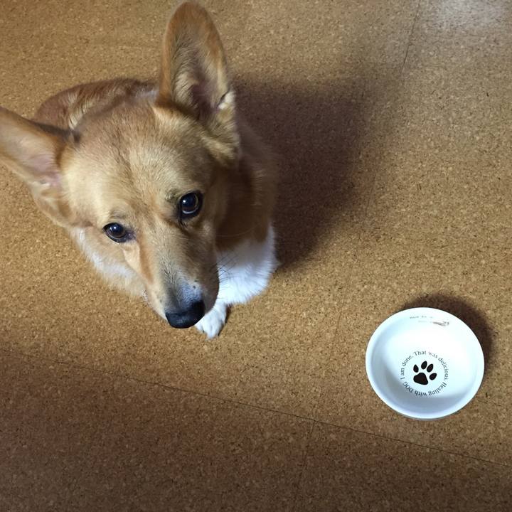 Bbc8de2b 7bb5 4cb4 9ae7 129ac11d0629 1550629075527