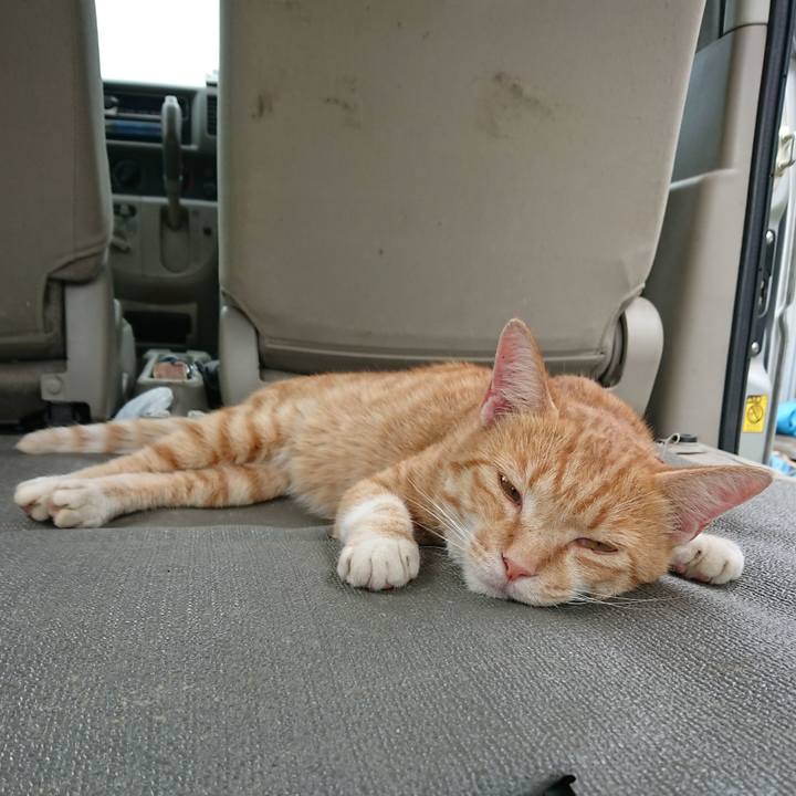 Bbc8ec08 c2f6 45a5 9a3d b431cc4ffe31 1564184432163