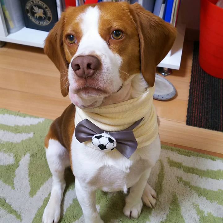 Bbc8efa6 704f 43f5 88fc 451efec54227 1524657189813