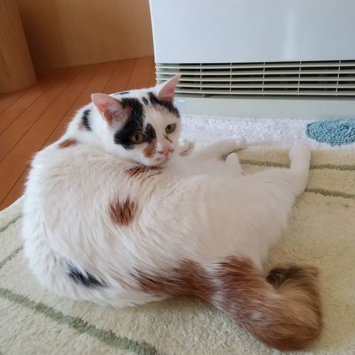 Bbc91d53 0965 435e 8e55 3615956e9fa9 1681944680208