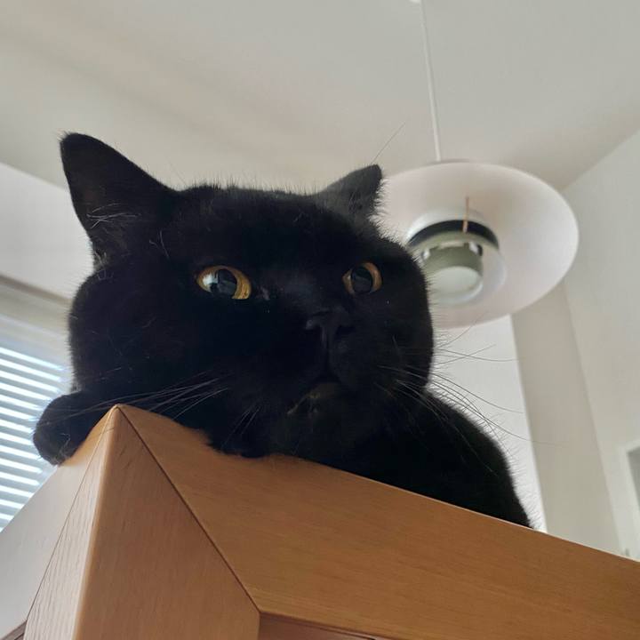 Bbc92808 03f9 4404 9116 2f643654f358 1755680246482