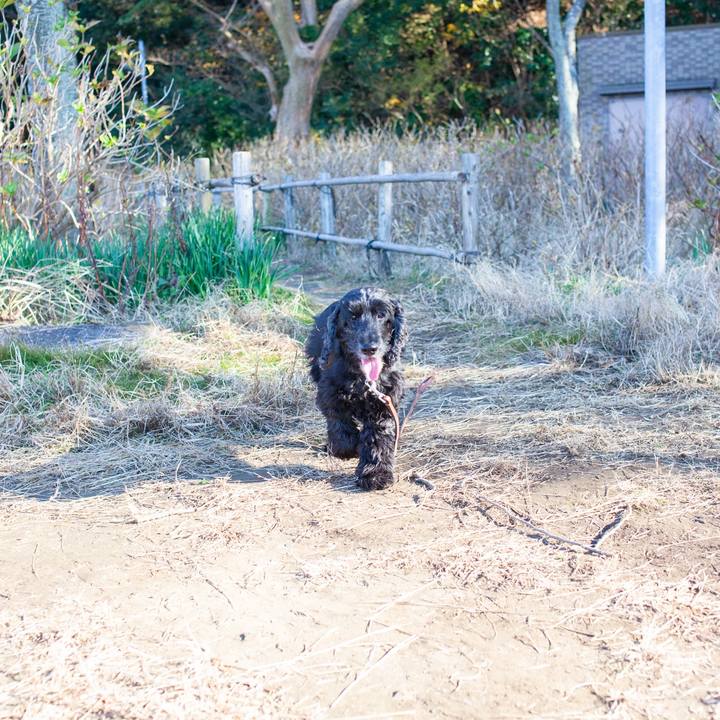 Bbc92d90 d21c 434d 8f4b ea6bb3963404 1579406402029