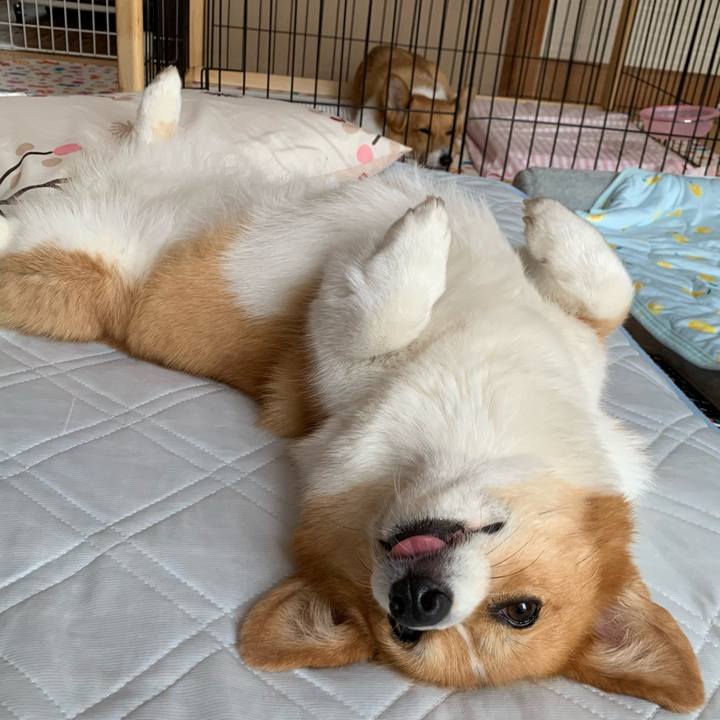 Bbc93961 b6d3 4311 a455 8211e6dbd2f5 1624587396988