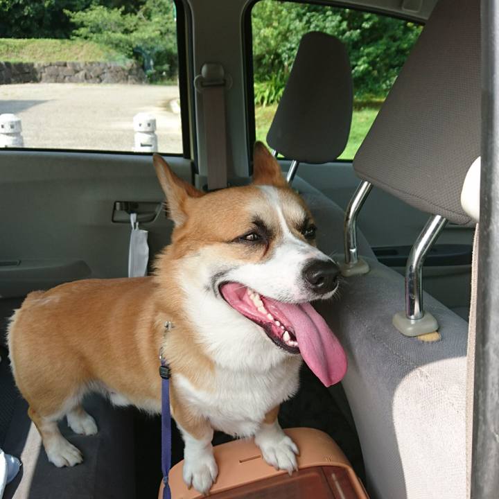 Bbc96d76 d71d 4b6d b4a0 1fbd601f85fc 1596158689512