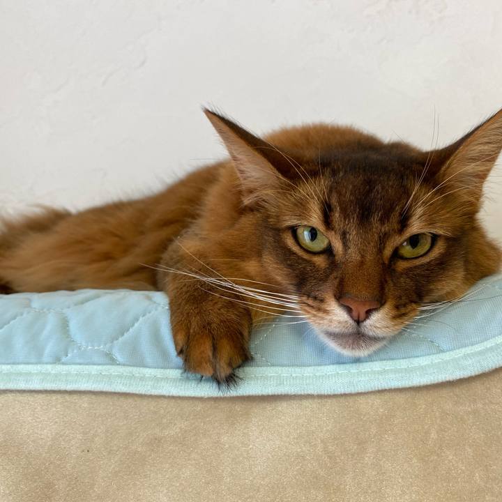 Bbc97296 c160 4f4f 8042 651e494ac9e0 1687904525555