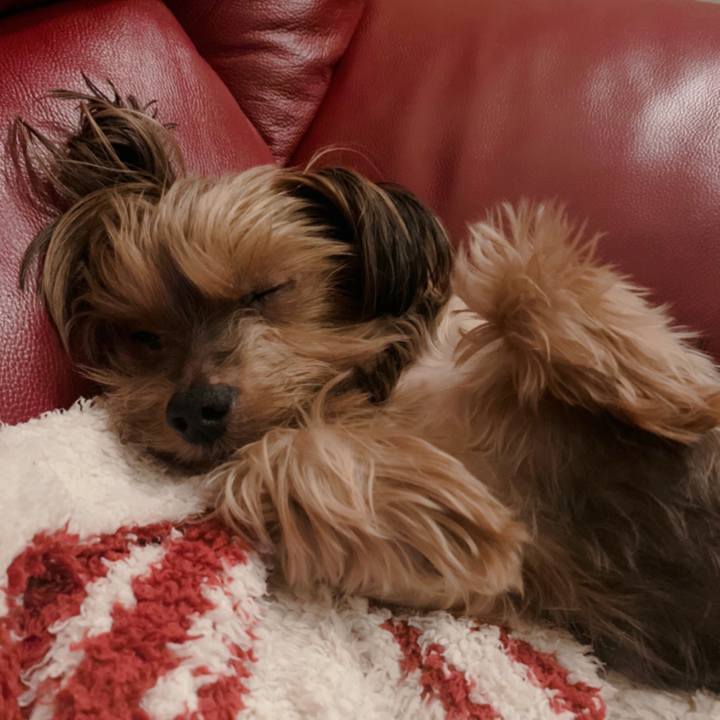 Bbc97bba 0626 47eb 9b15 27256b3392e1 1607254916529