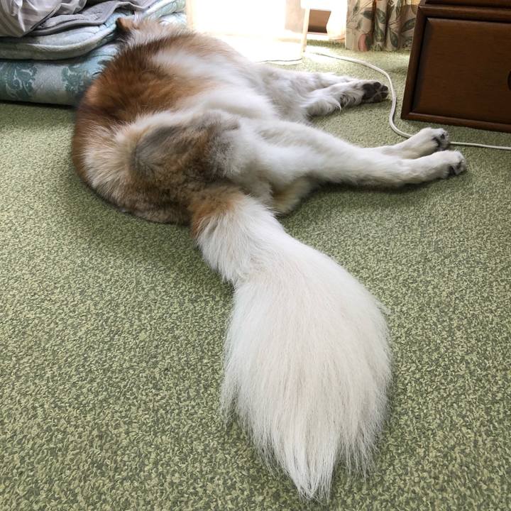 Bbc98194 7140 4fb9 8d74 edc12ad0a68d 1555464480145