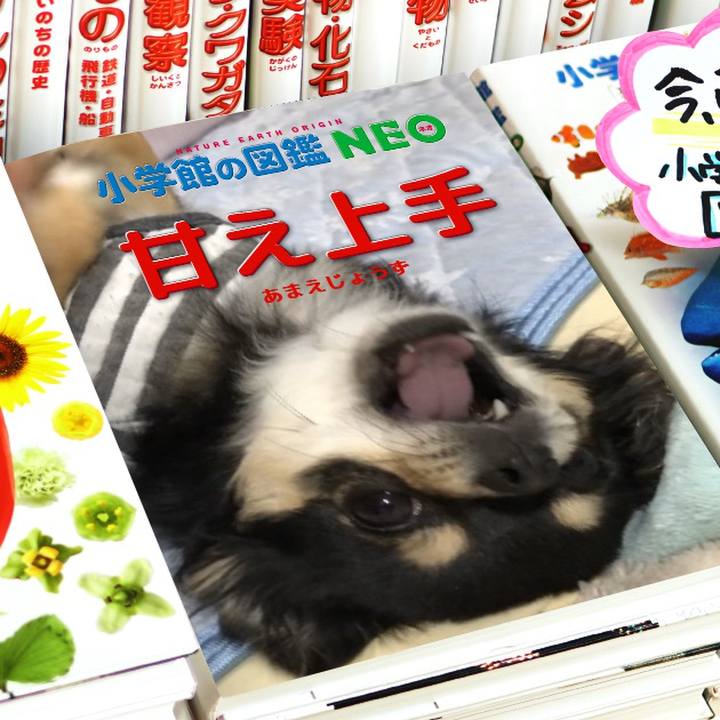 Bbc9d59e c291 47b0 b230 6b5a02250bc4 1578181679531