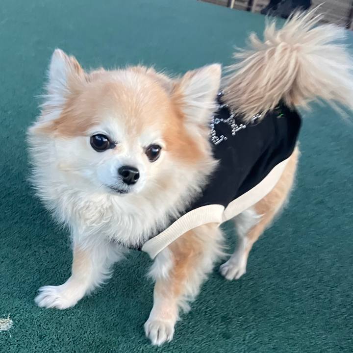 Bbc9ef50 ff78 4ca1 8862 beec63d61e87 1769335612621