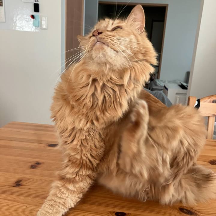 Bbca0b62 e09c 4cf0 ac33 3e34eb1a70d9 1753914802942