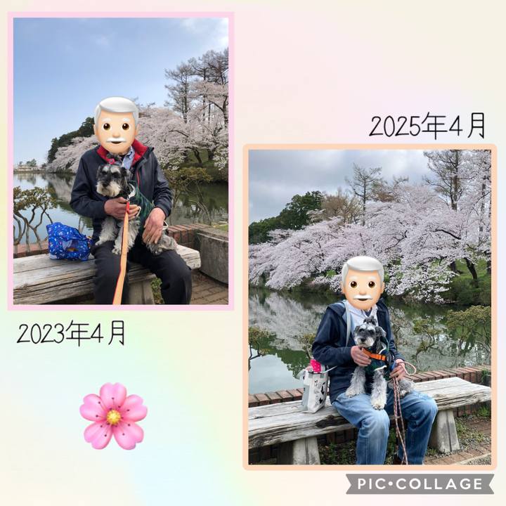 Bbca2662 9cdb 4aa1 8644 1605629f1e45 1745130827423