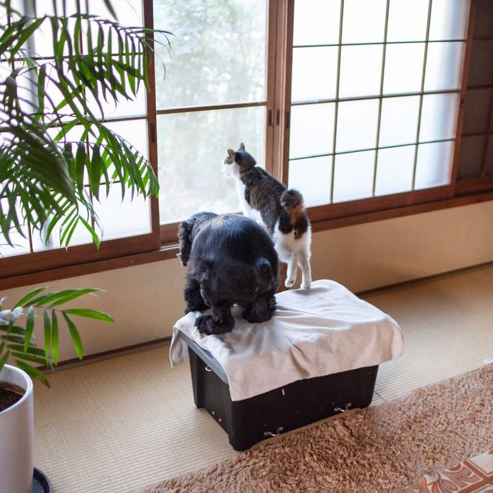 Bbca6dd2 535c 43e4 8408 7201051da735 1612839605047