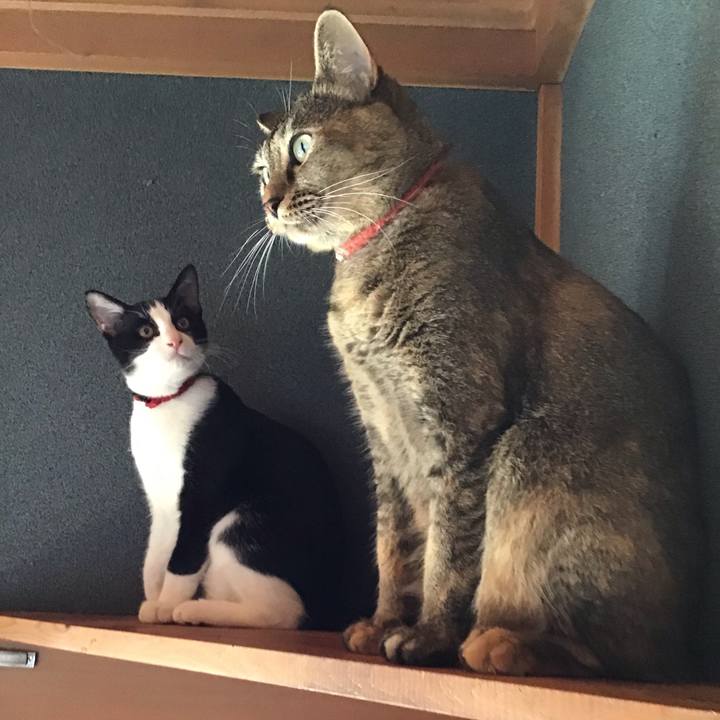 Bbca7667 cad1 4a9b 894a 9f6d03327fa2 1630023494940