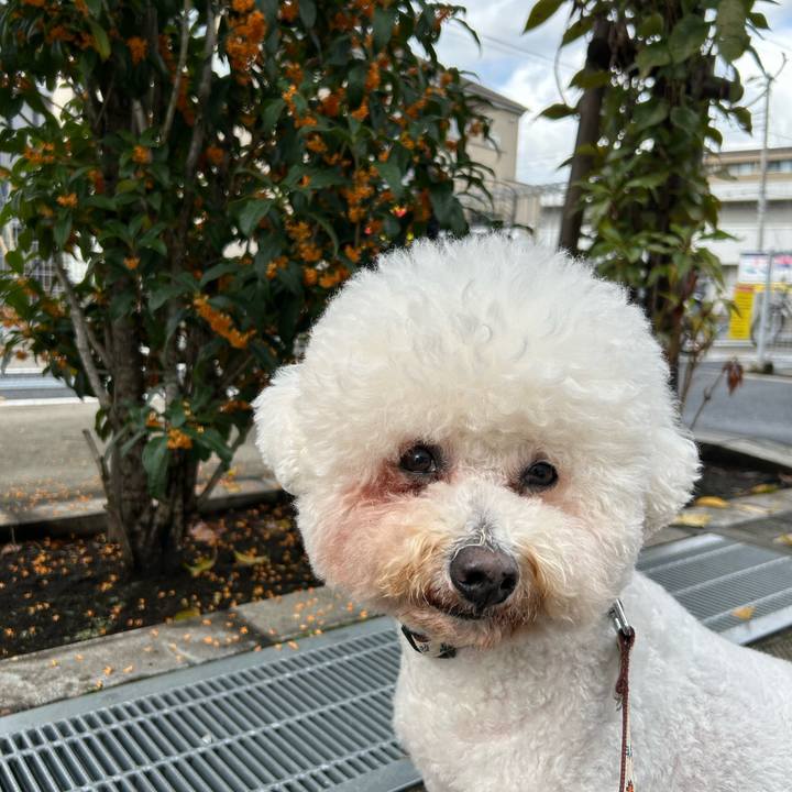 Bbca9ff8 10e0 49a8 9ea7 67e14c0a0fe1 1761525645868