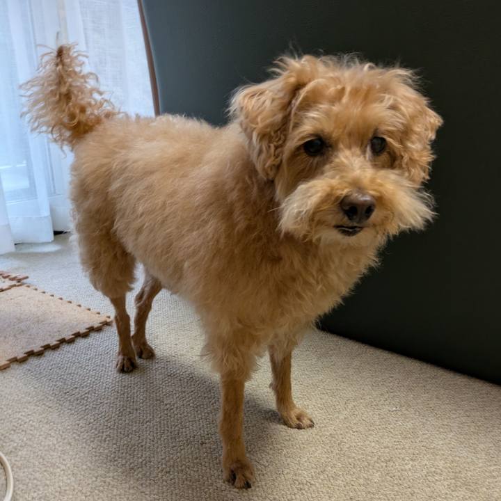 Bbcac0da 9463 4308 aefe 021ded3610bf 1750909595771