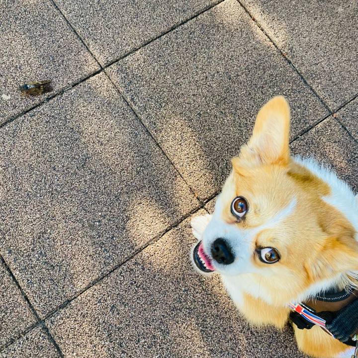 Bbcac42d 2f50 4bcd 8d4f 78d1e3c1c559 1691020498410