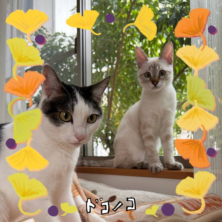 Bbcaff6a bd05 4bb0 beb8 87bf265df6d2 1729256567831