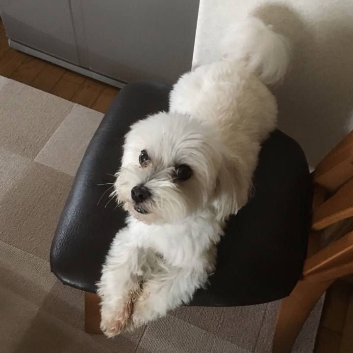 Bbcb0a5e 1fba 4931 bd59 49c62cbf3043 1531964612302