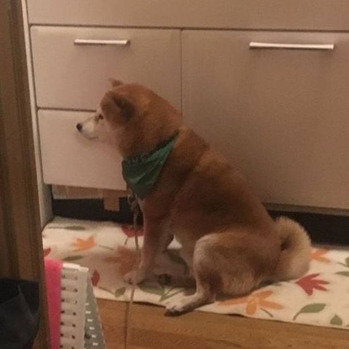 Bbcb2b82 e002 444f 9e12 3b246e221ad1 1555926912499