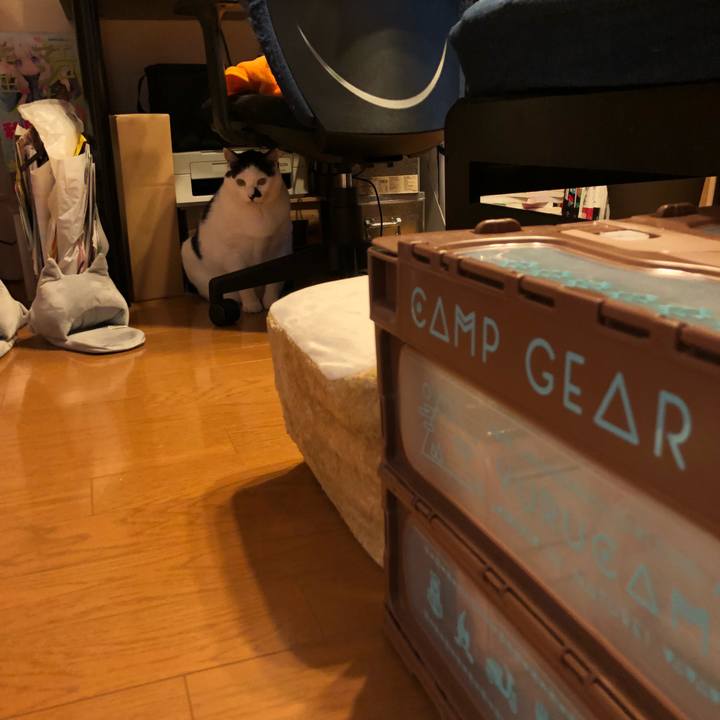 Bbcb7db1 e635 43e8 9d3e 1c57aa953f71 1537593507458