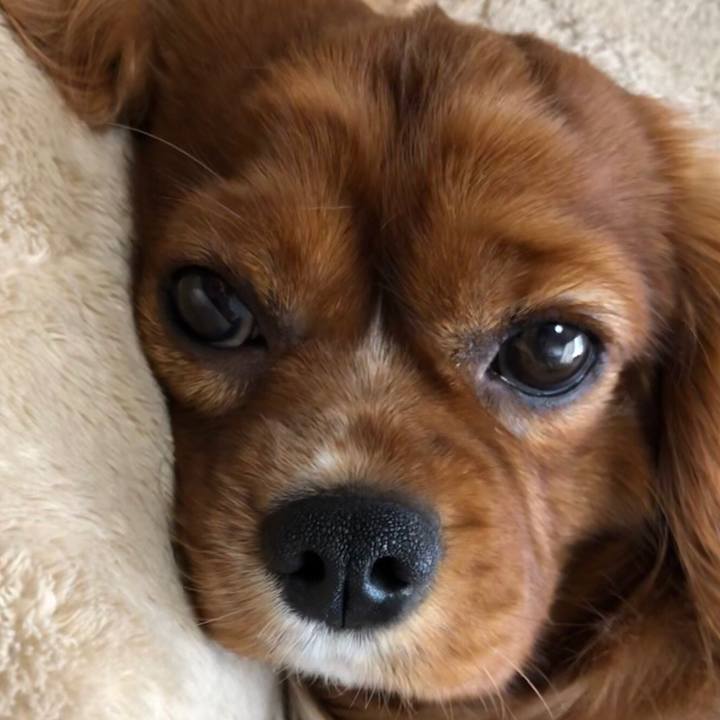 Bbcb85ba 803d 459d 9862 a5db74a88969 1550876729615