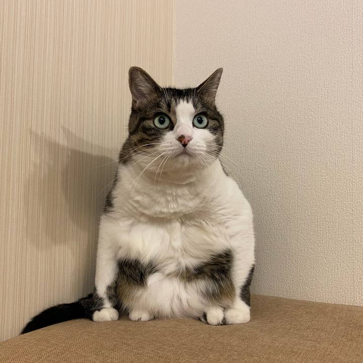 Bbcb8de1 4e18 4b83 839f 9e13c753a00e 1633001395800