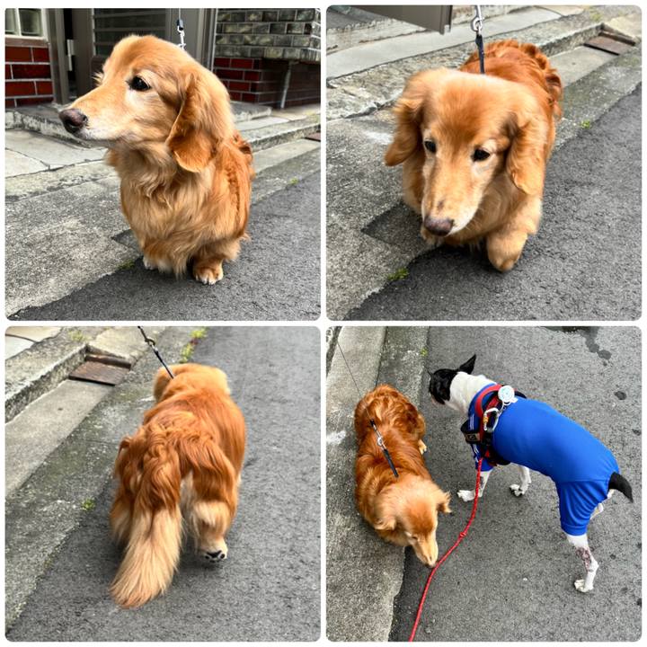 Bbcb92ec bcf0 444f a813 c7607120b4fc 1654907227917