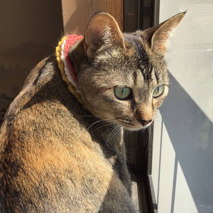 Bbcbcaa1 564c 45b3 a568 d1f60b19993f 1622332562329