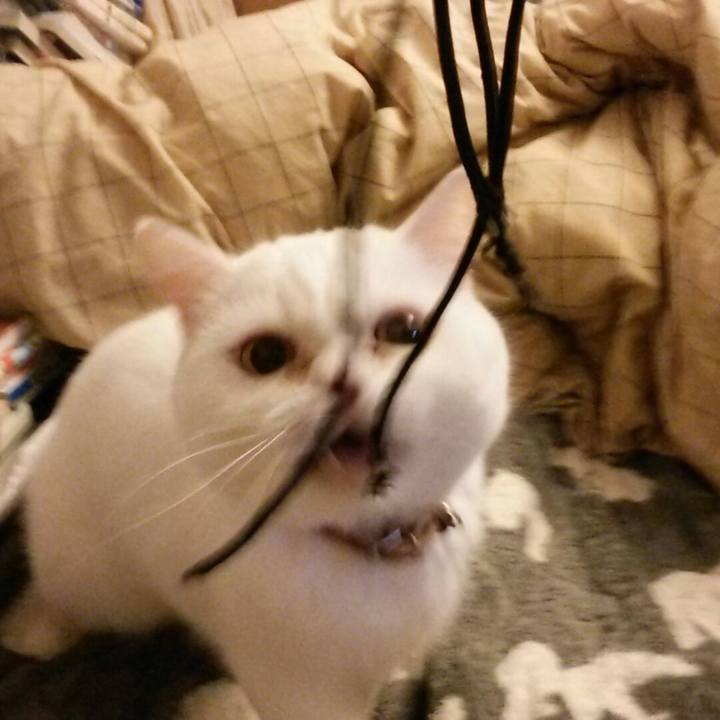 Bbcbd998 c3b5 45e3 b9fe 60076c84712b 1520982099281