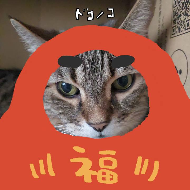 Bbcbdb9f 27a8 4f21 aae0 7aef9be975cb 1772237891342