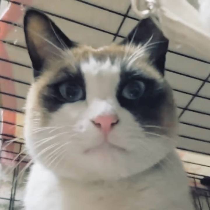 Bbcc346f 735a 4874 8b34 2cfd207e14e2 1734514153148