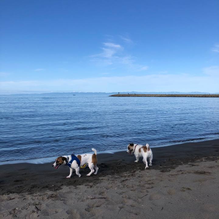 Bbcc43a1 9632 4656 8e11 3b24ec88c069 1602373759209