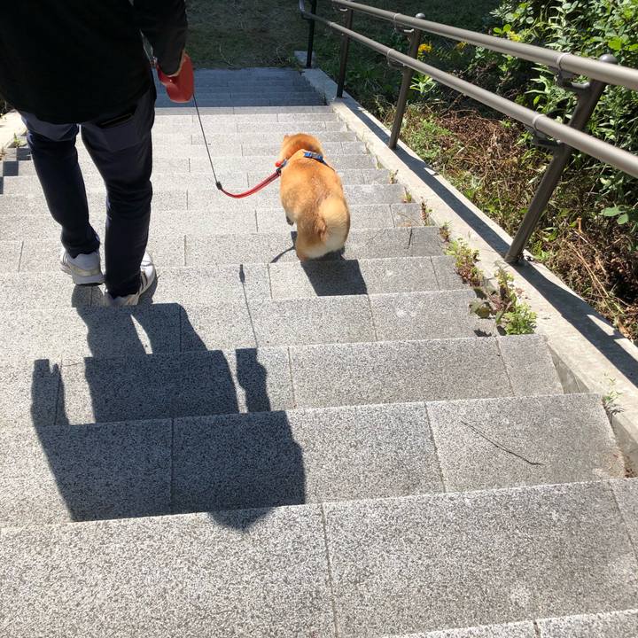 Bbcc4487 2d0f 4adc 840f ee2936c20d3c 1603773565650