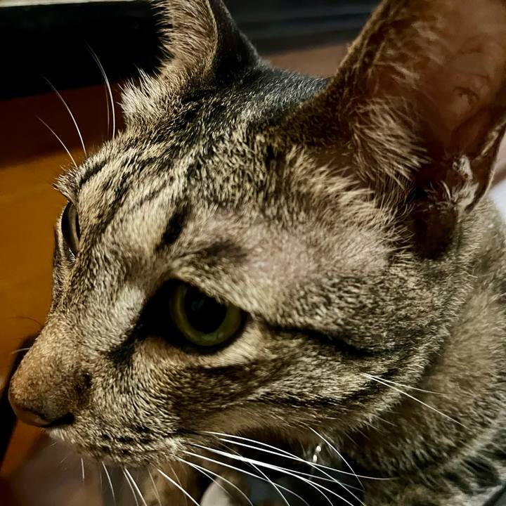 Bbcc5077 925e 44dc ae2f 749a7bd2fe01 1774696504485