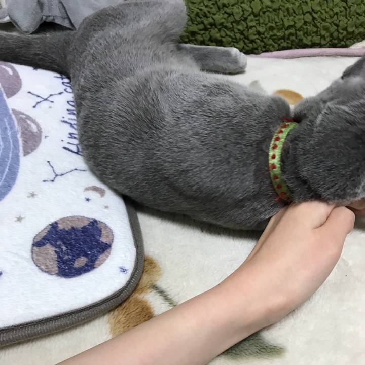 Bbcc59da 25f3 452b 9f53 084eb2183e3d 1511881729804