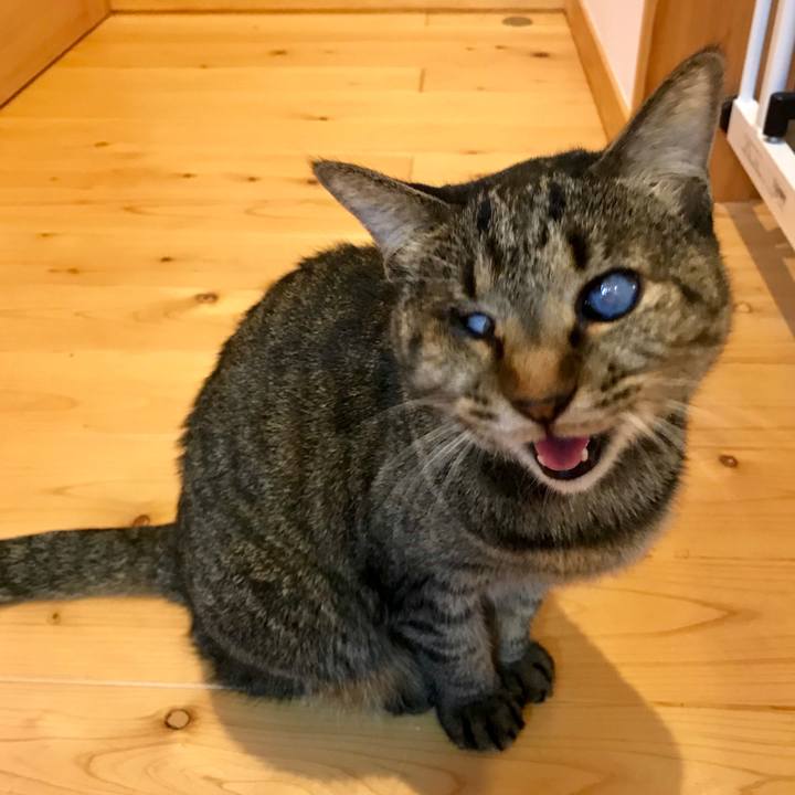 Bbcc93e1 f7a2 4b51 9093 cc3a7609d9cd 1570623027359