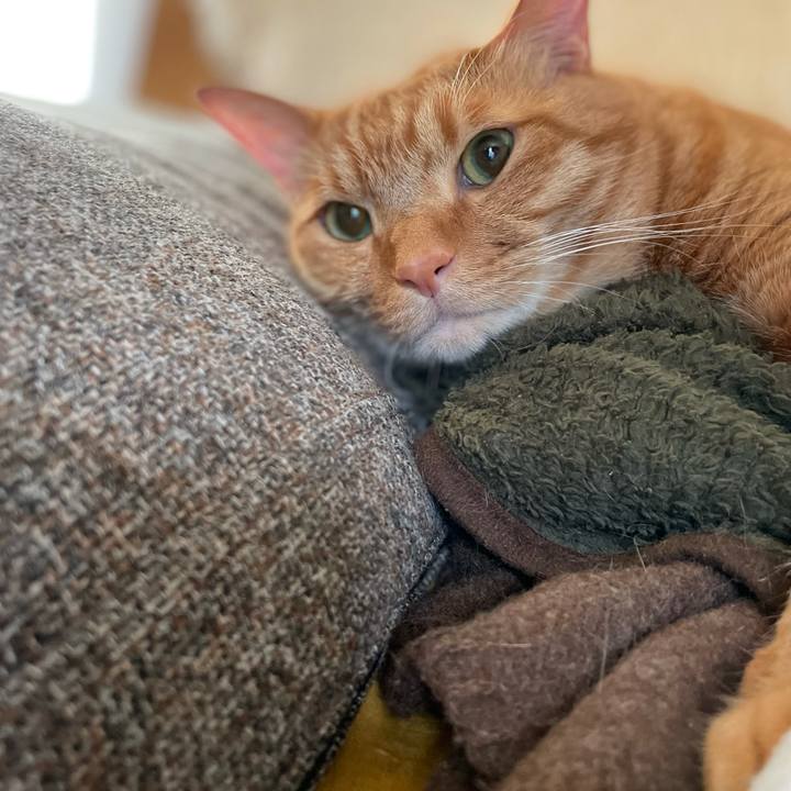 Bbccd6e5 fc63 4c11 b793 64206ac605f5 1636947273411