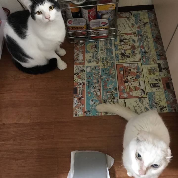 Bbcd02ea ee83 4fc7 ae0b 6e32ea9b6663 1542668811689